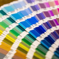 A close-up of a fan of color swatches used for printing.